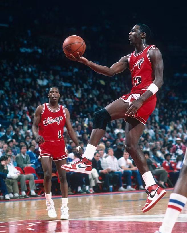 Michael Jordan evidence 6