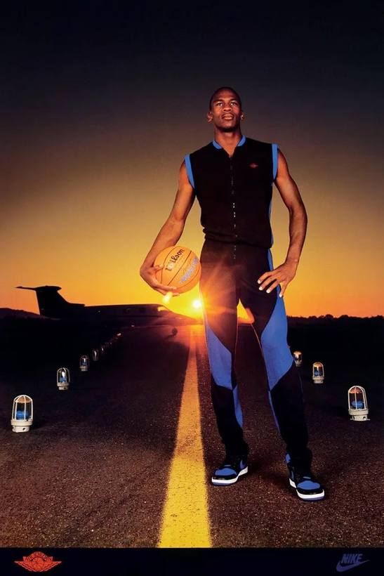 Michael Jordan evidence 8